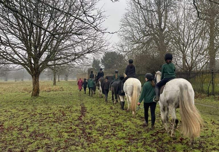 A line of Horse Rangers riding and leading horses out through Bushy Park on a misty morning
