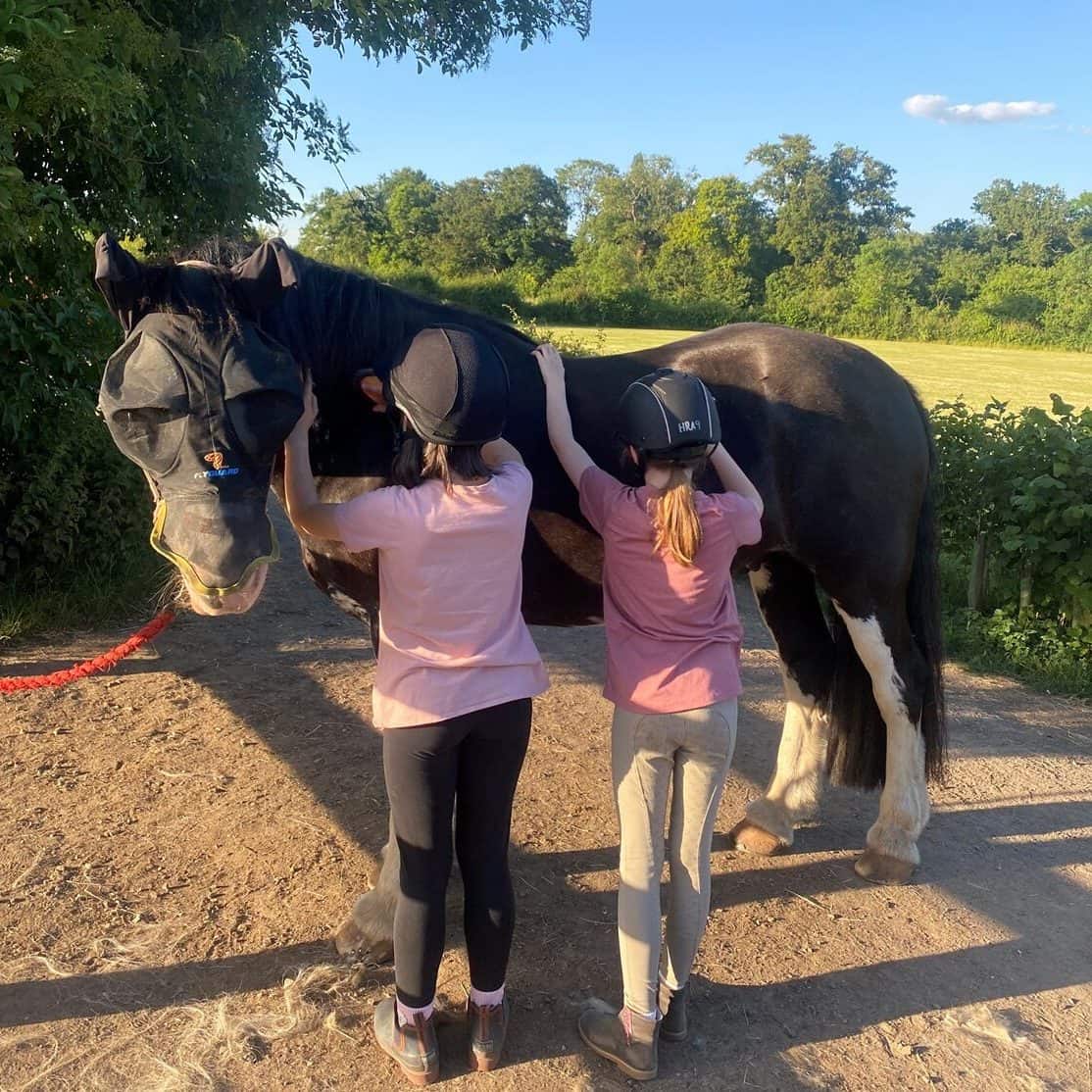 Two Horse Rangers standing side by side to brush down a black cob in the evening sun