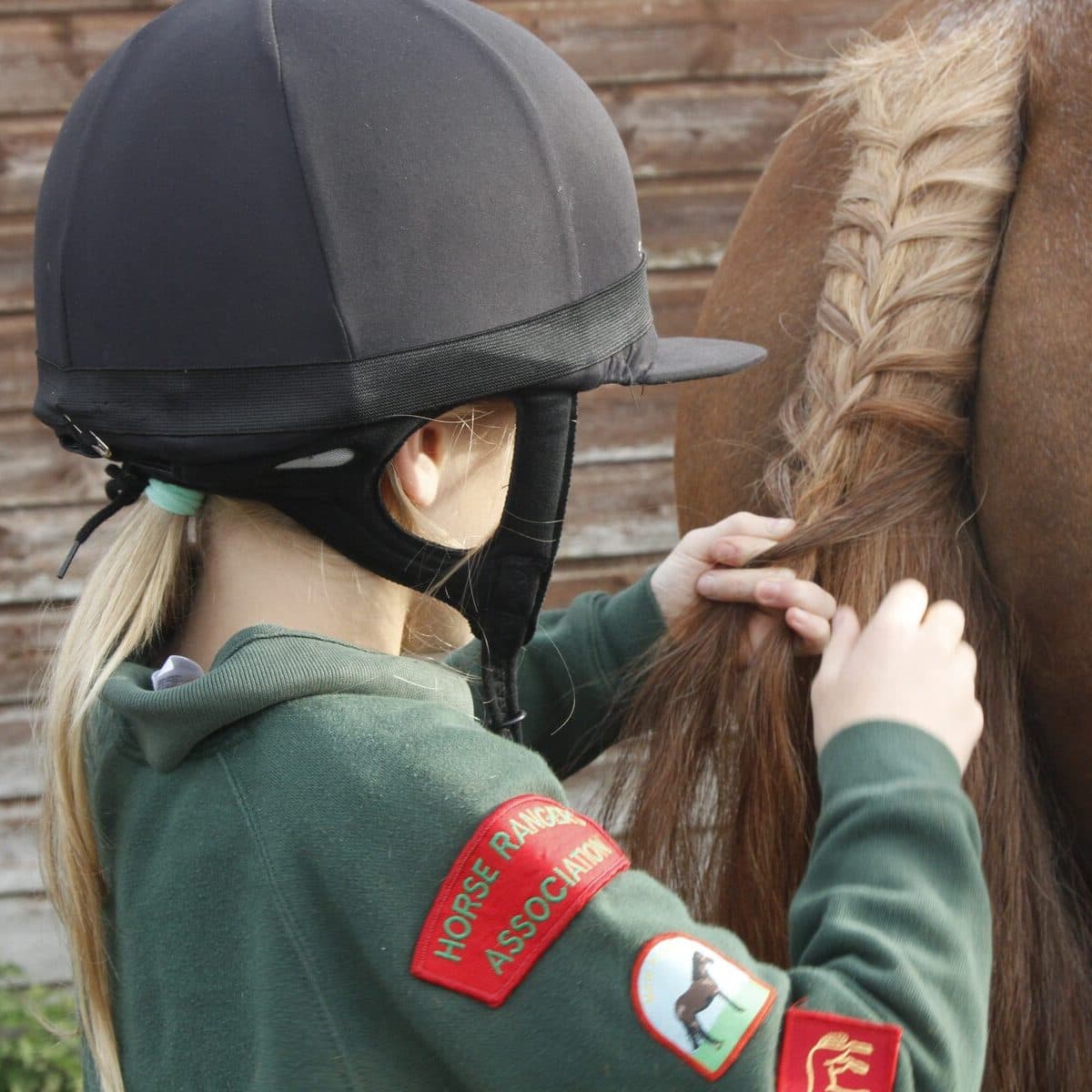 A Horse Ranger in a riding hat plaiting a chestnut horse’s tail, the badges on their sleeve showing