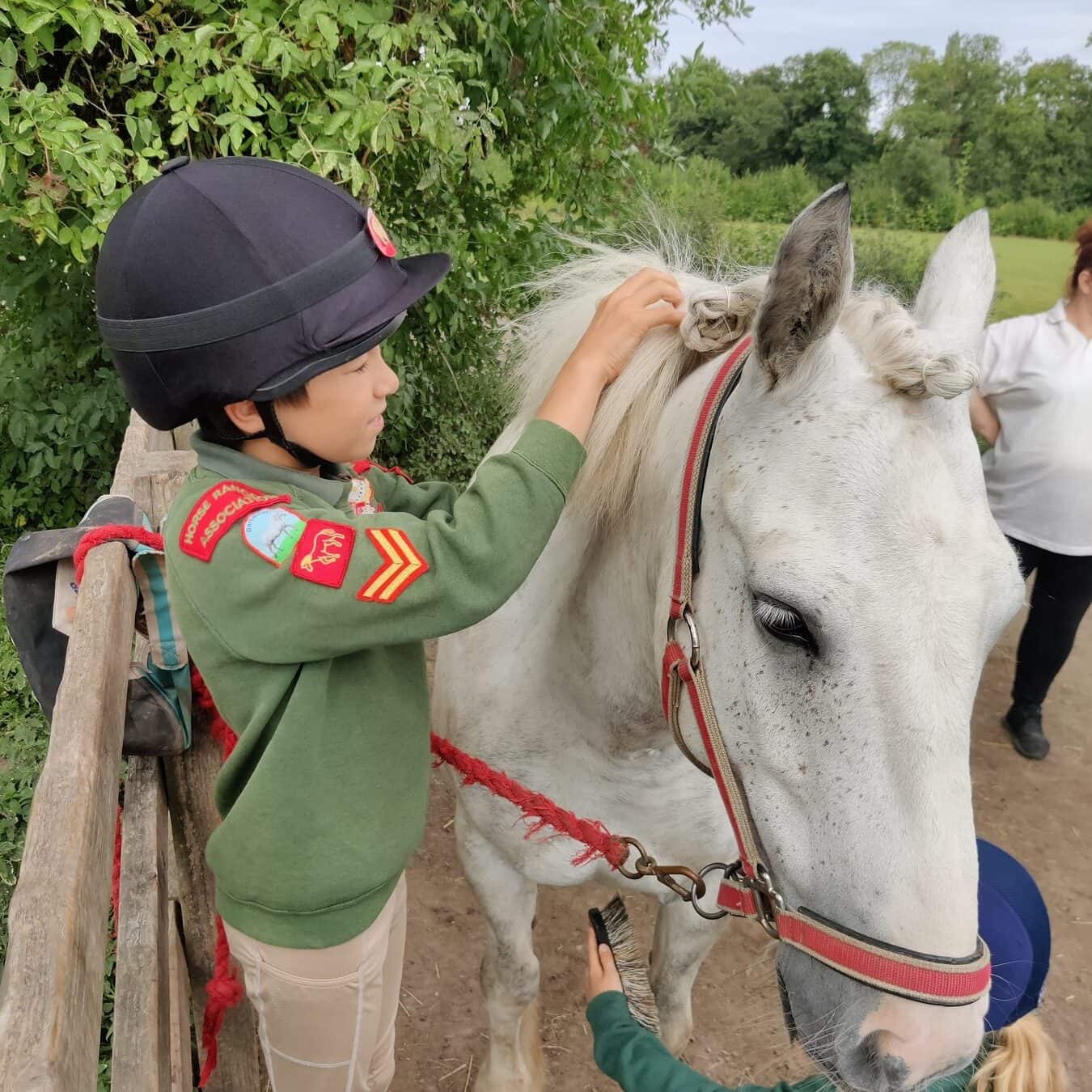 A Horse Ranger with badges on their sleeve stroking a grey pony’s forelock while another Ranger brushes alongside