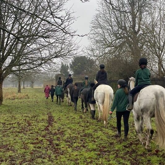 A line of Horse Rangers riding and leading horses out through Bushy Park on a misty morning